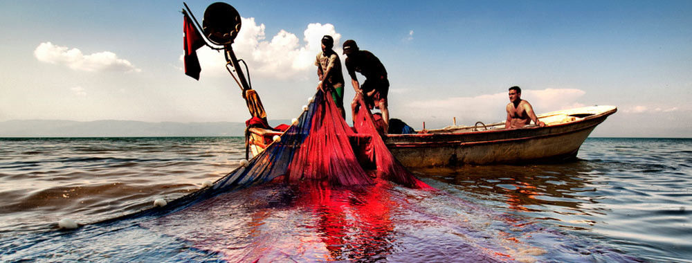 Китай самый лучший Рыболовные сети HDPE на сбываниях